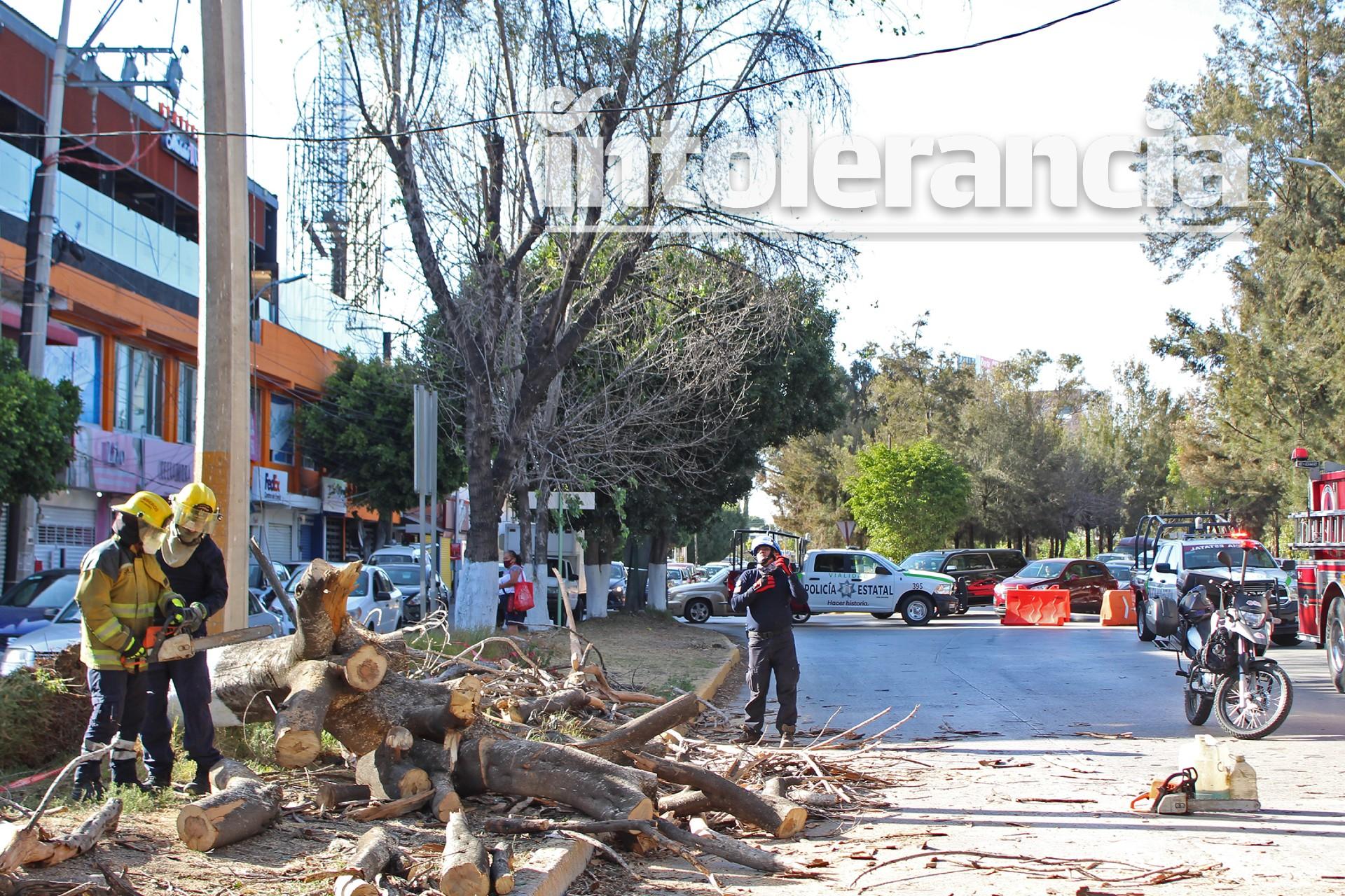 Foto: Agencia Enfoque