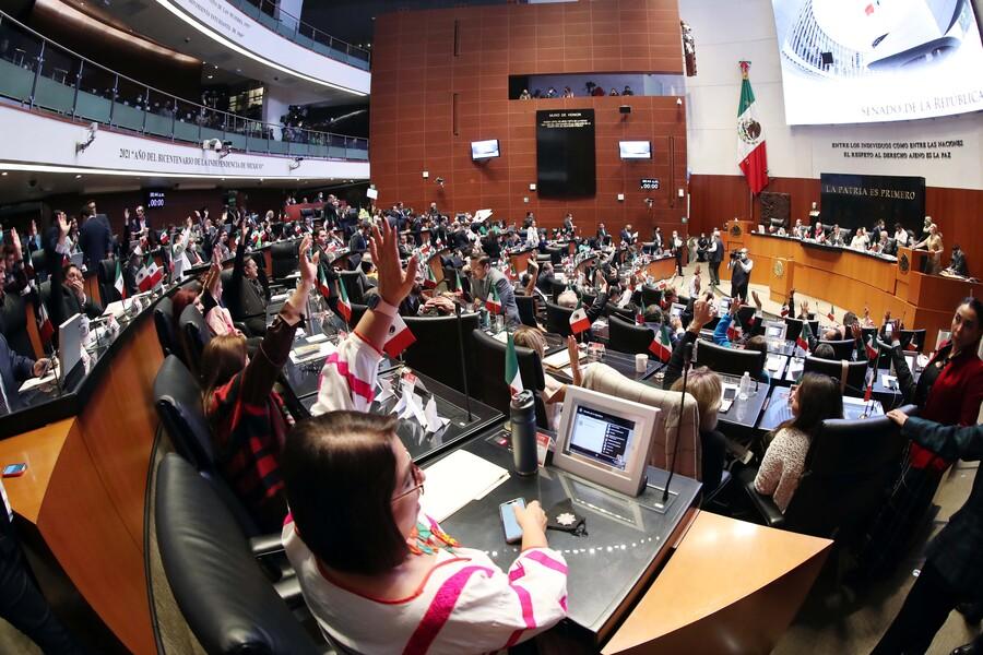 Foto: Senado de la República