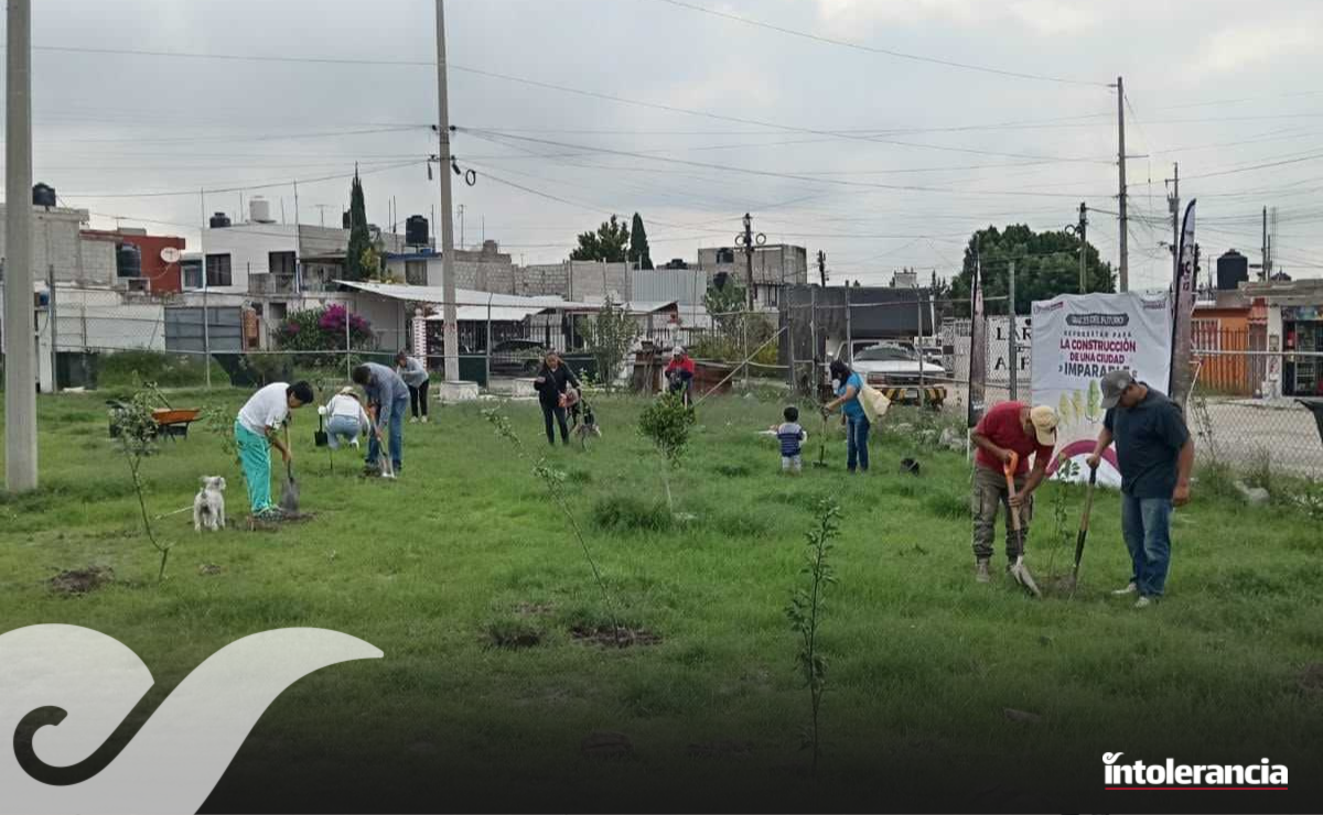 Avanza reforestación en Puebla capital con la plantación de 9 mil 393 ...