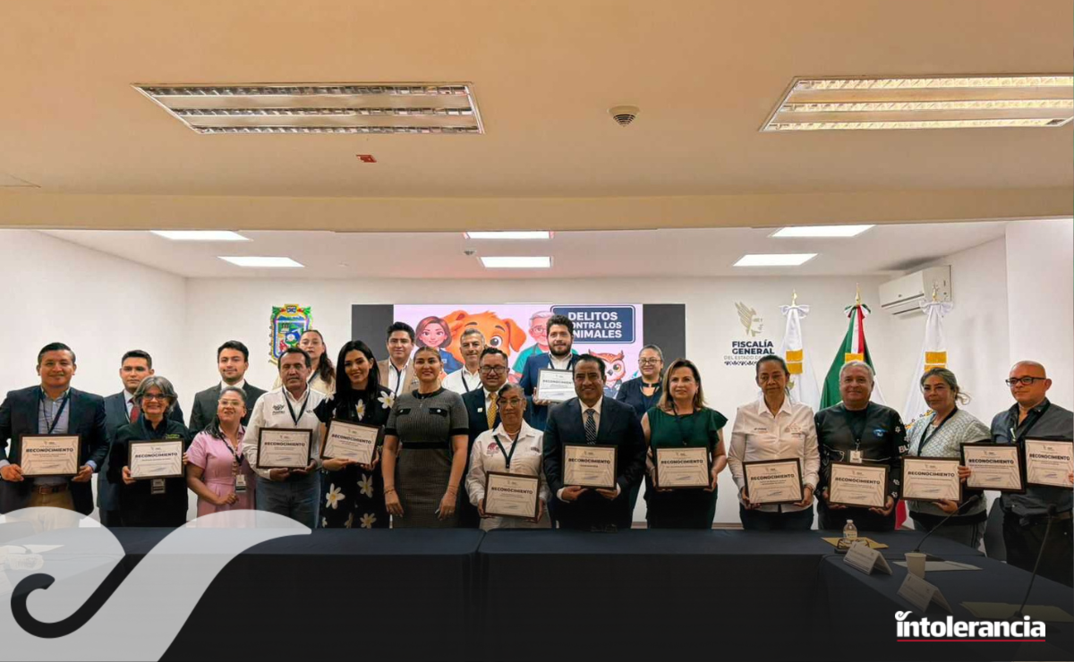 Cuautlancingo recibe reconocimiento por su compromiso con el bienestar ...