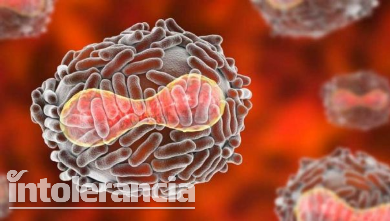 VIDEO: Secretaría de Salud Puebla, atenta a evolución de la viruela símica