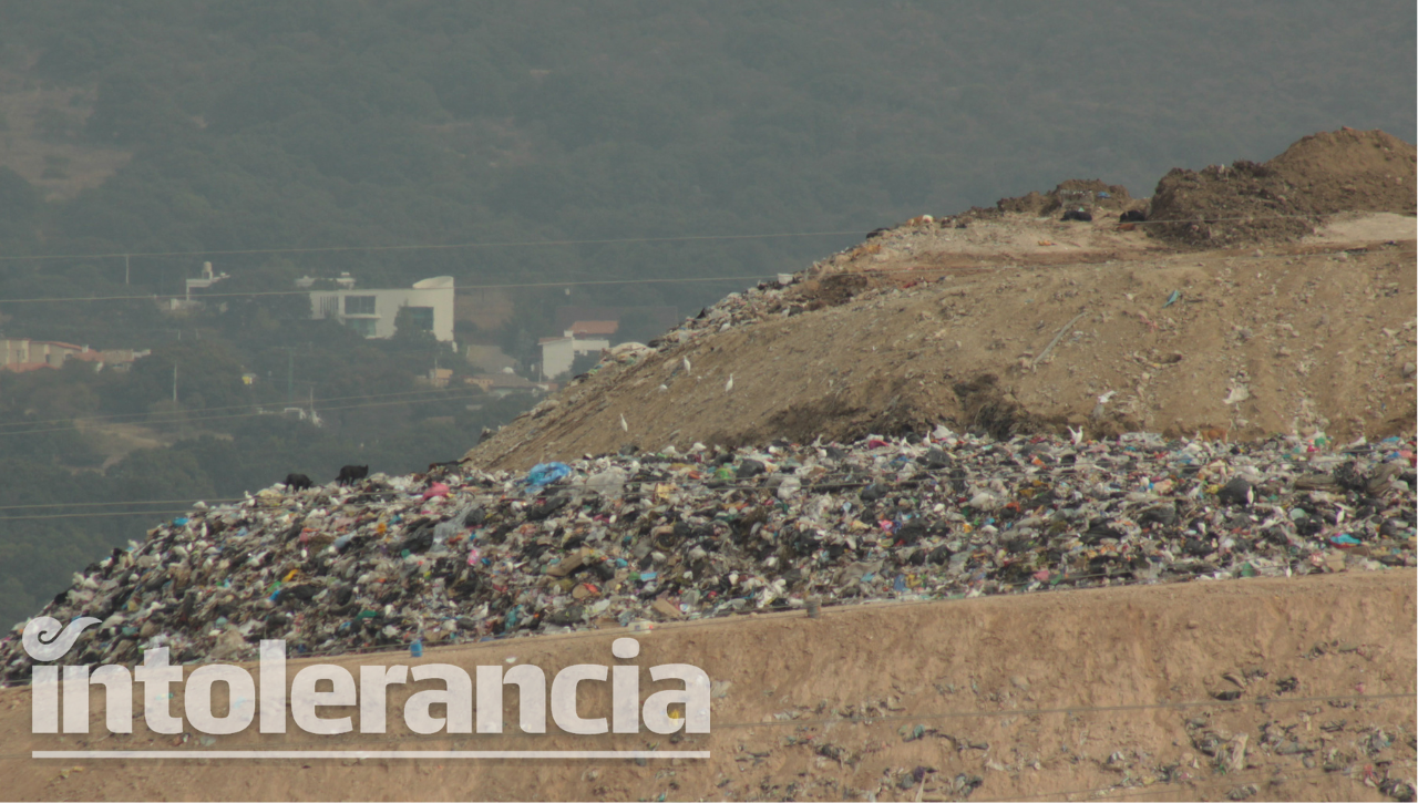 Foto: Agencia Enfoque