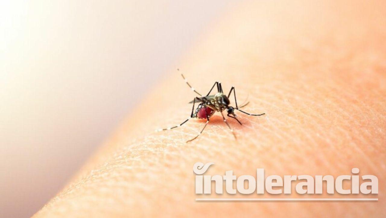 Puebla se ubica en lugar 11 a nivel nacional en casos de dengue