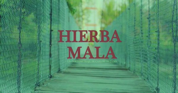 'Hierba Mala', el cortometraje poblano que será estrenado en el Festival Internacional de Cine en Guadalajara