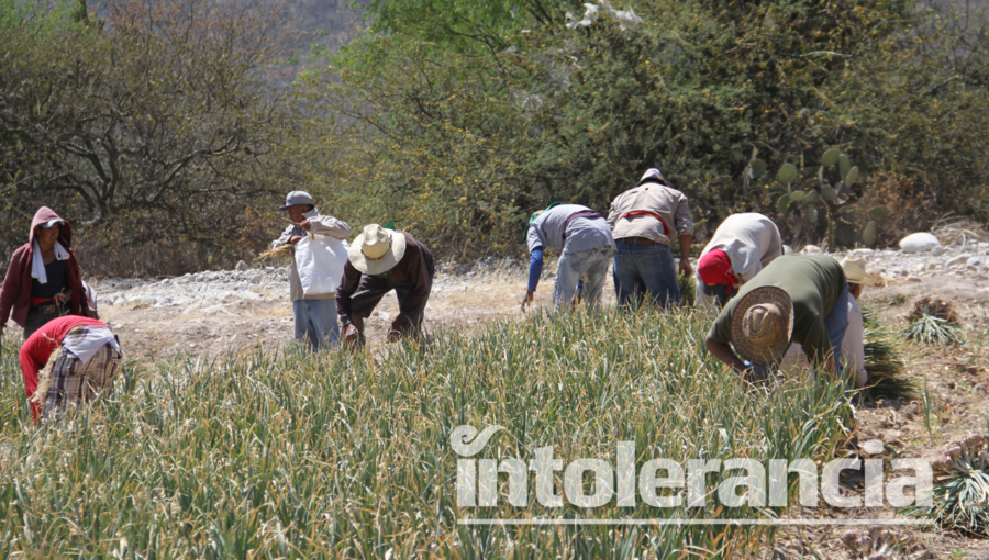 Piden tarifas justas para
el riego en San Gabriel Chilac
