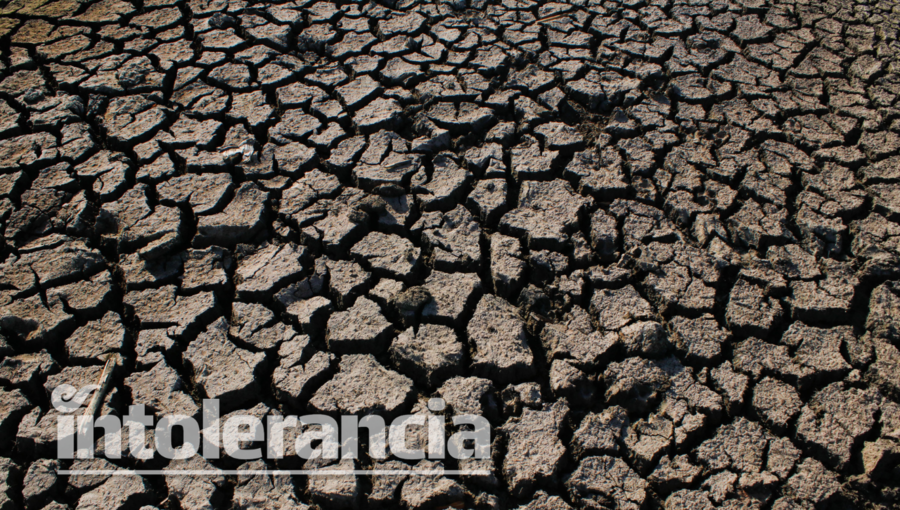 Agudiza crisis del agua en Puebla, advierten especialistas ITESM