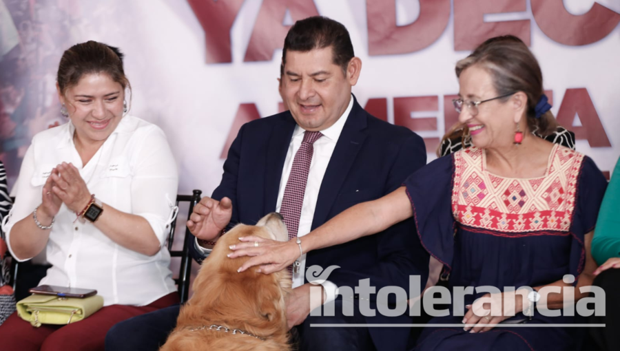 Propone Alejandro Armenta albergue para perros de la calle y penalizar venta ilegal de mascotas