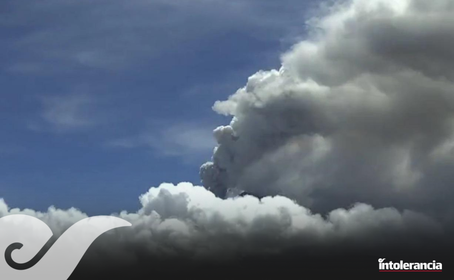 Foto: Captura de pantalla.