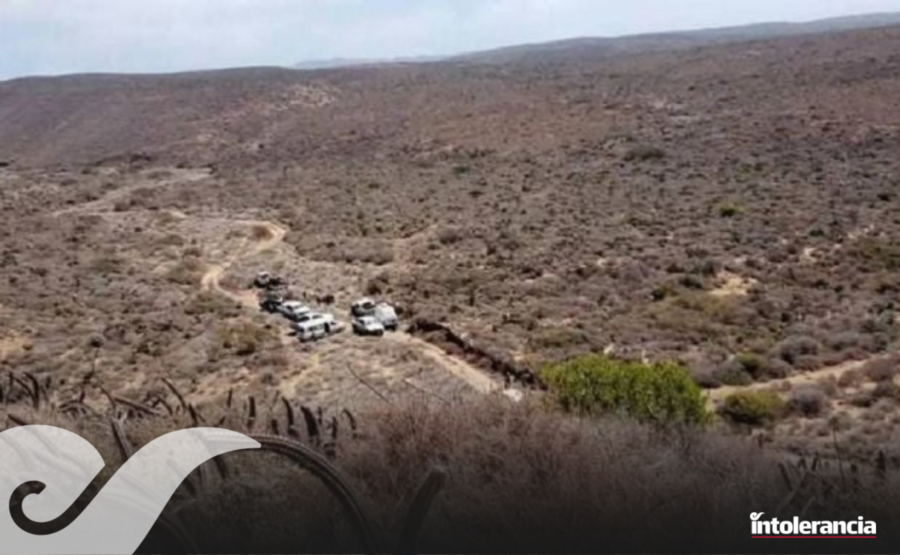 Foto: Cortesía.