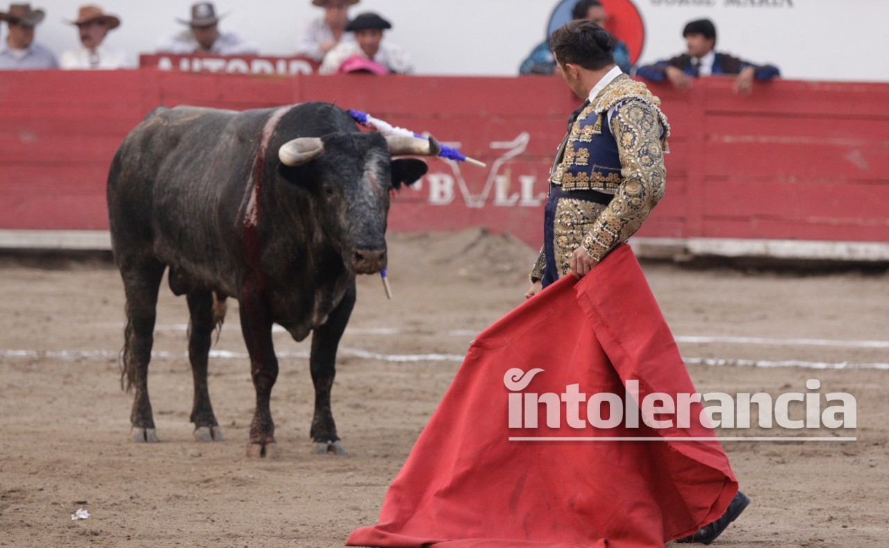 Propone AMLO hacer consulta ciudadana para prohibir corridas de toros