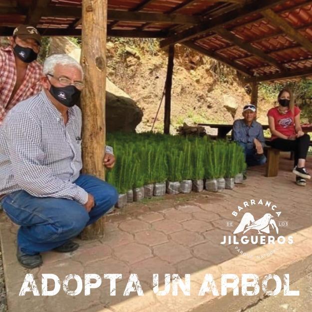 Lanzan campaña “Adopta un Árbol” para reforestar Barranca los Jilgueros en Zacatlán