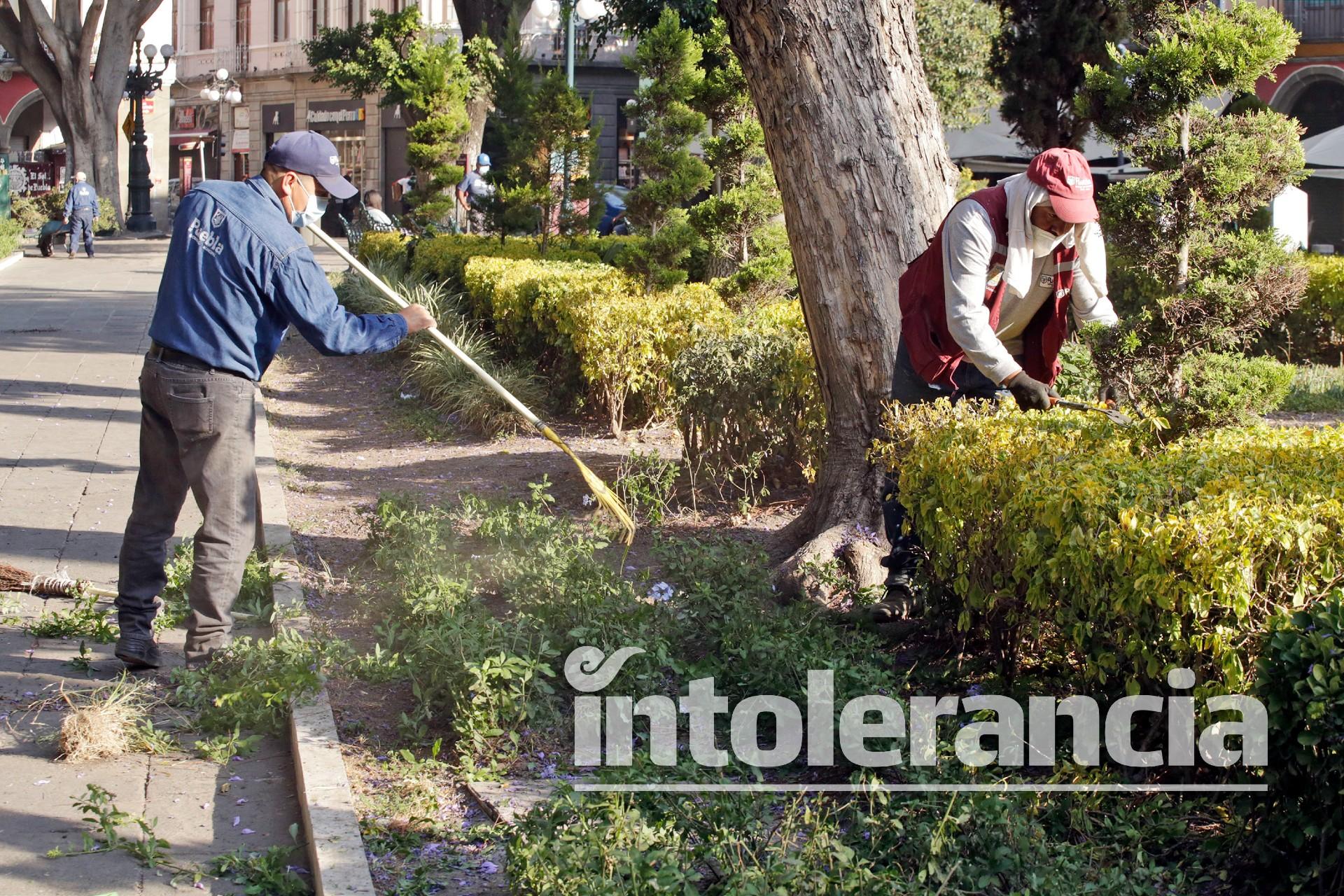 Foto: Agencia Enfoque