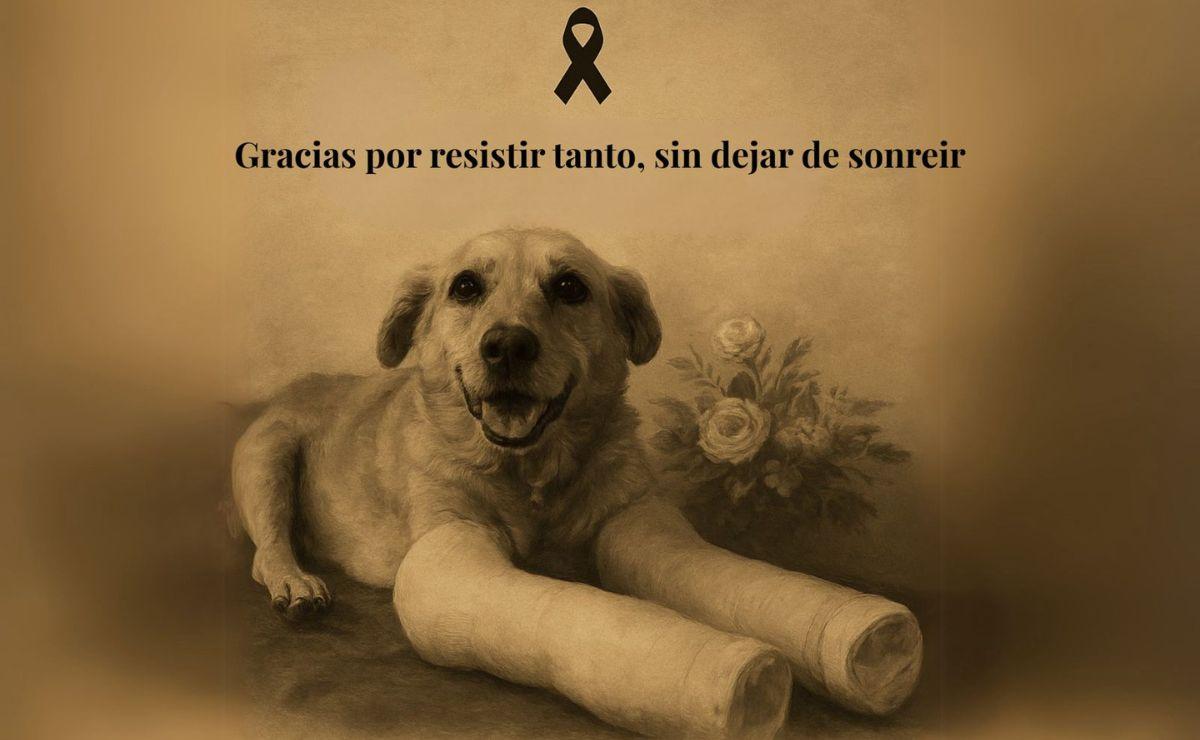 Arte: Fundación TAC A.C.